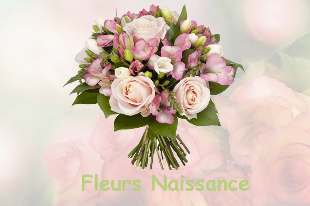 fleurs naissance BEAURECUEIL