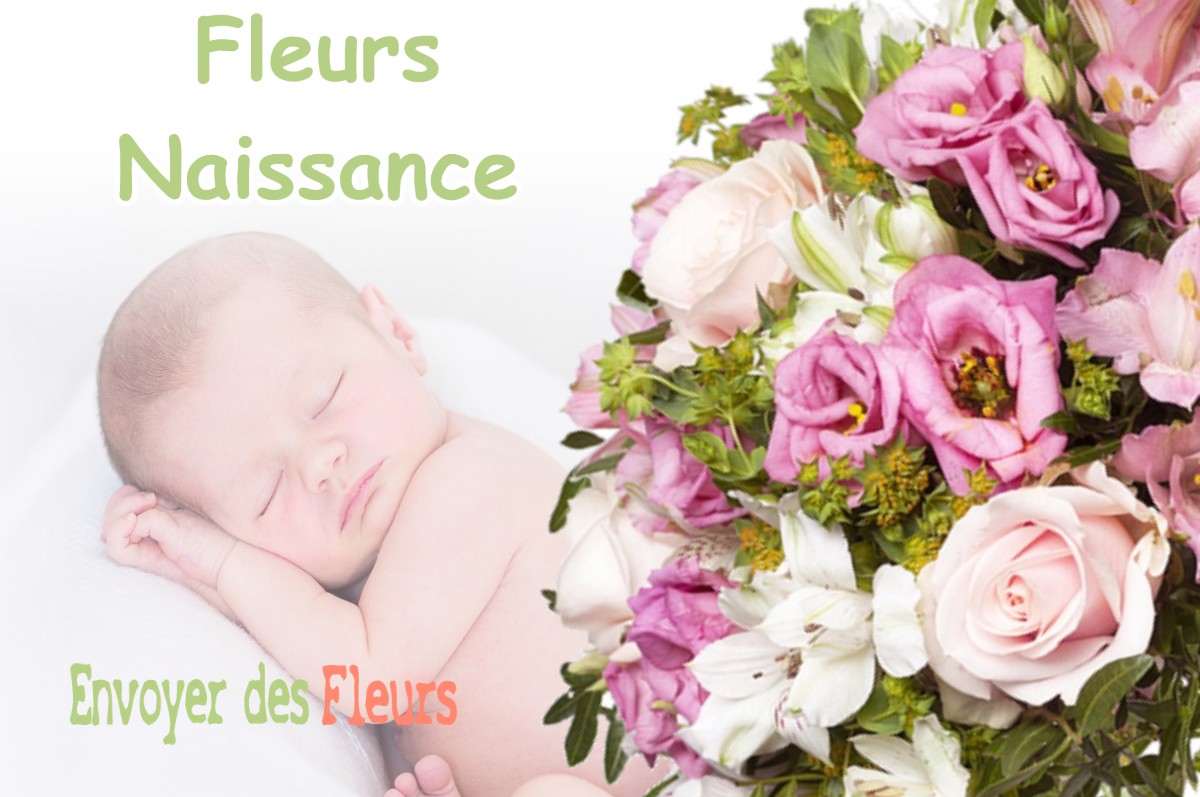 lIVRAISON FLEURS NAISSANCE à BEAURECUEIL